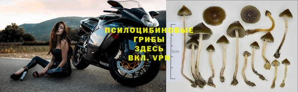 бутират Зерноград